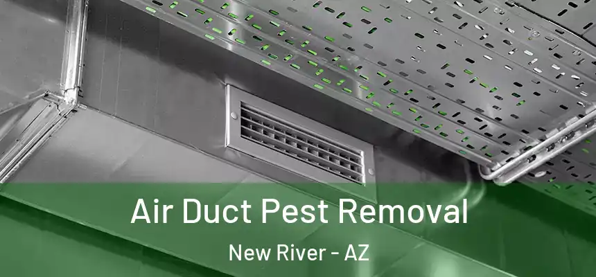 Air Duct Pest Removal New River - AZ