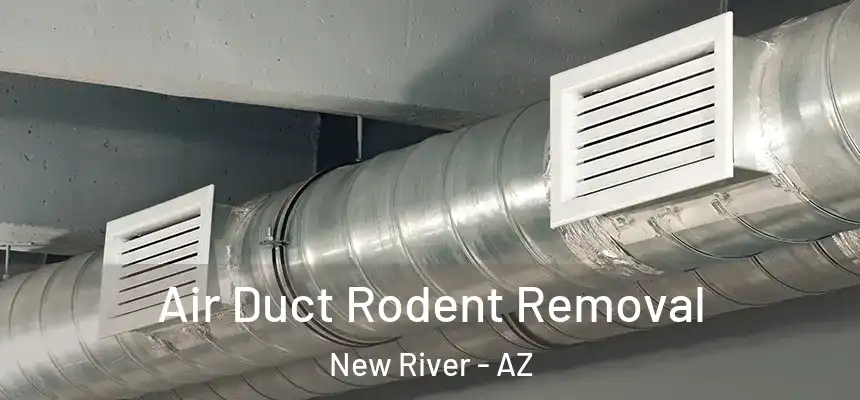 Air Duct Rodent Removal New River - AZ