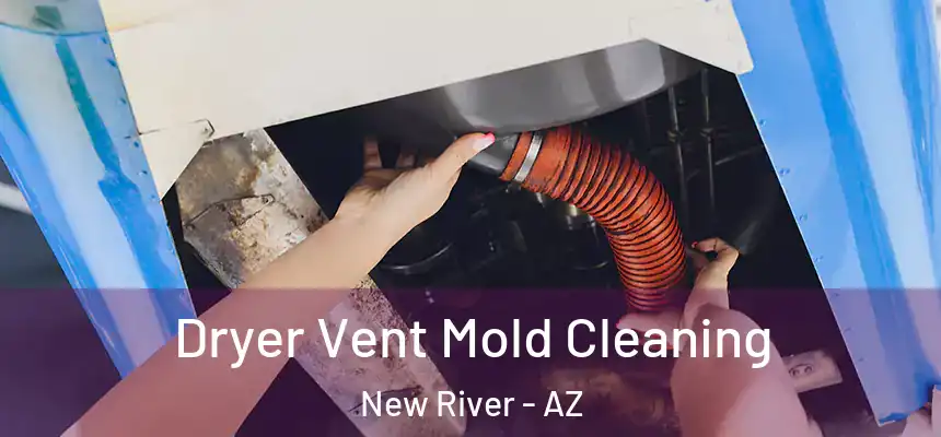 Dryer Vent Mold Cleaning New River - AZ