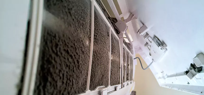 Preventive Air Duct Bacteria Removal in New River