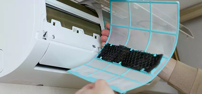 Gentle Ductwork Odor-Control Pet Dander Duct Cleaning in New River, AZ