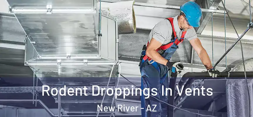  Rodent Droppings In Vents New River - AZ