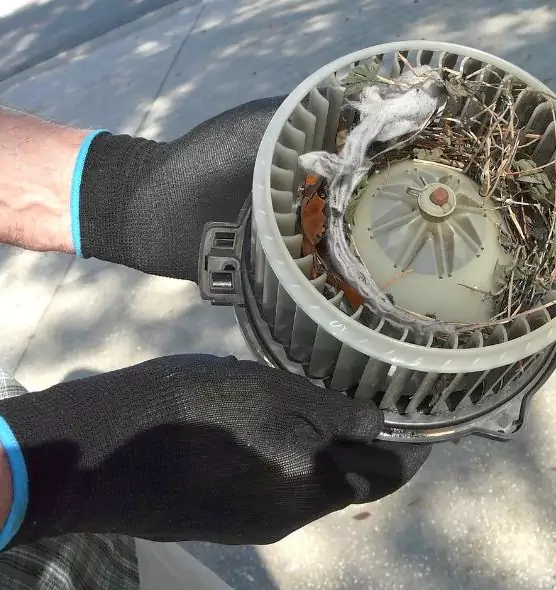 About Air Duct Rat Removal in New River, AZ