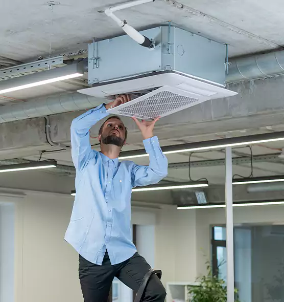 Advanced Rodent Droppings In Vents in New River, AZ